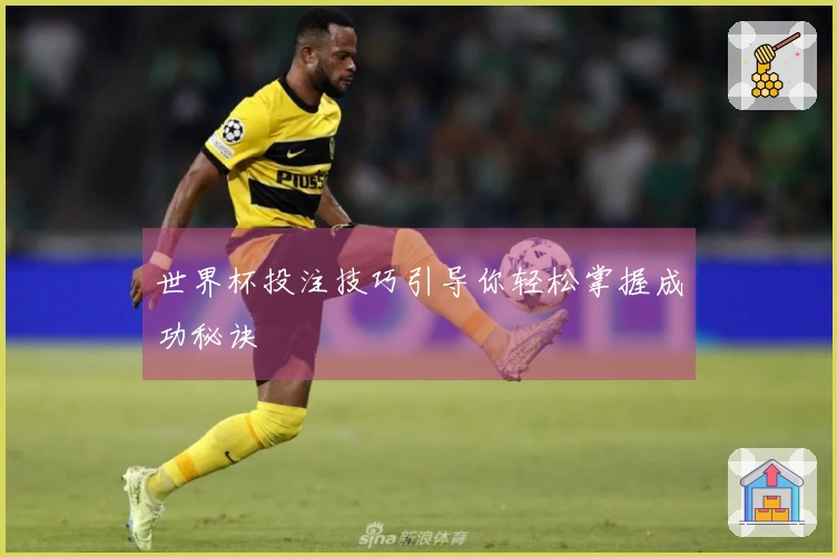 世界杯投注技巧引导你轻松掌握成功秘诀