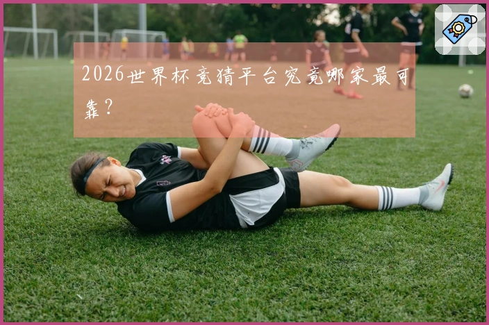 2026世界杯竞猜平台究竟哪家最可靠？