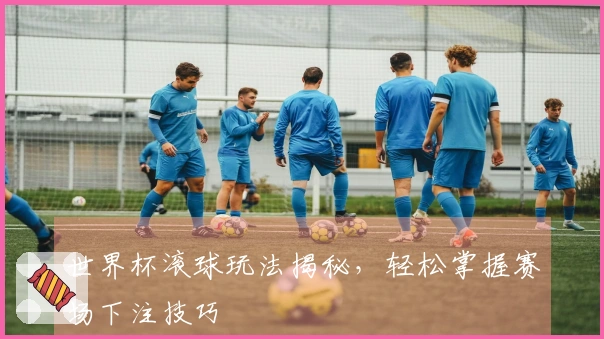 世界杯滚球玩法揭秘，轻松掌握赛场下注技巧