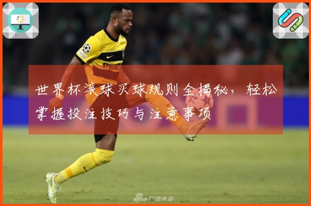 世界杯滚球买球规则全揭秘，轻松掌握投注技巧与注意事项