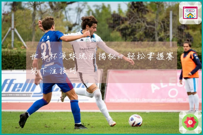 世界杯滚球玩法揭秘，轻松掌握赛场下注技巧