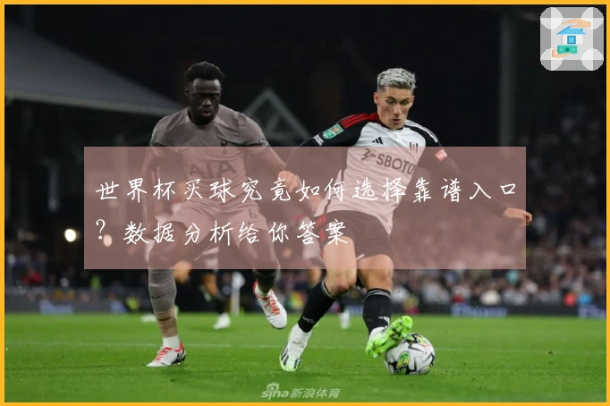 世界杯买球究竟如何选择靠谱入口？数据分析给你答案