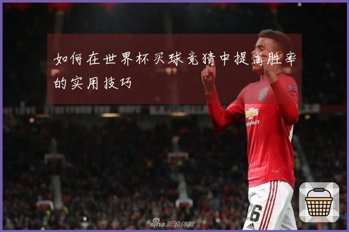 如何在世界杯买球竞猜中提高胜率的实用技巧