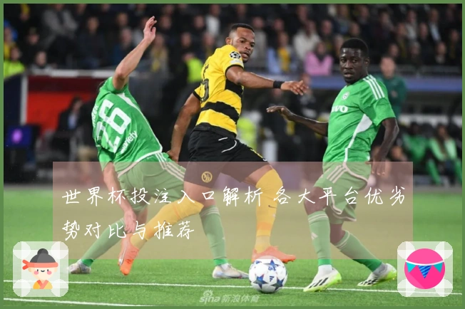 世界杯投注入口解析 各大平台优劣势对比与推荐
